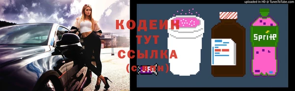 ГАЛЛЮЦИНОГЕННЫЕ ГРИБЫ Алзамай
