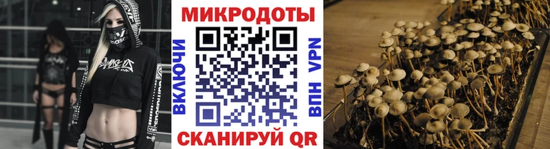 наркота  Венёв  Псилоцибиновые грибы ЛСД 